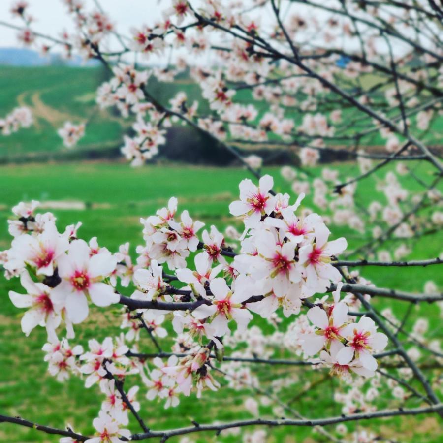 Casa Rural Cal Codina Prats de Rey Dış mekan fotoğraf