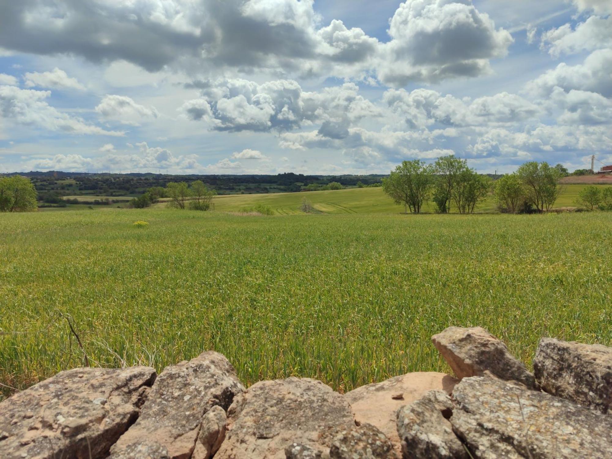 Casa Rural Cal Codina Prats de Rey Dış mekan fotoğraf